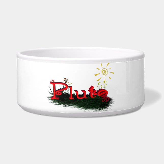 Bowl voor pluto voerbakje (Voorkant)