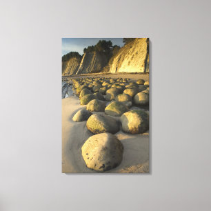 Bowling Ball Beach on California's Mendocino Coast Canvas Afdruk