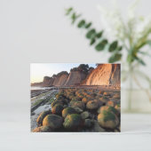 Bowling Ball Beach, Schooner Gulch, Point Arena, Briefkaart (Staand voorkant)