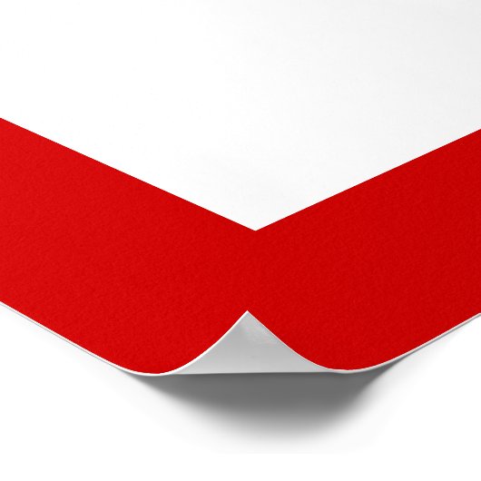 Bowling ball en spelden zwart rood poster (Hoek)