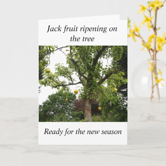 Bowls Verjaardag Kaart (Gele Bloem)