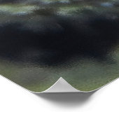 Box Boxfish Portret Poster (Hoek)