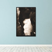 Box Canyon Canvas Afdruk (Insitu (Houten vloer))