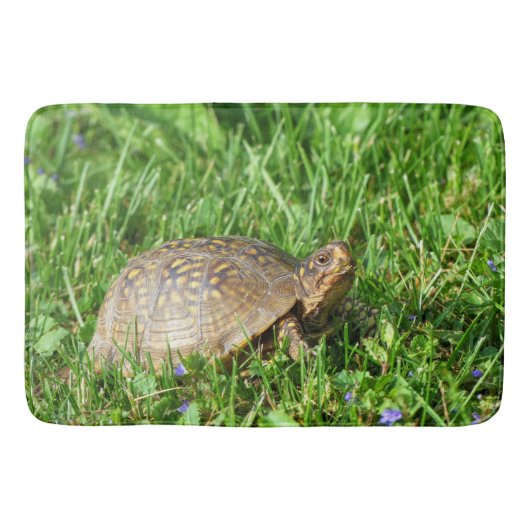 Box Turtle Badmat (Voorkant)