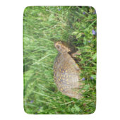Box Turtle Badmat (Voorkant Verticaal)