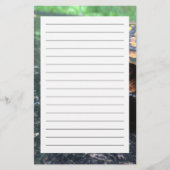 Box Turtle Briefpapier (Voorkant)