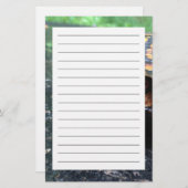 Box Turtle Briefpapier (Voorkant / Achterkant)