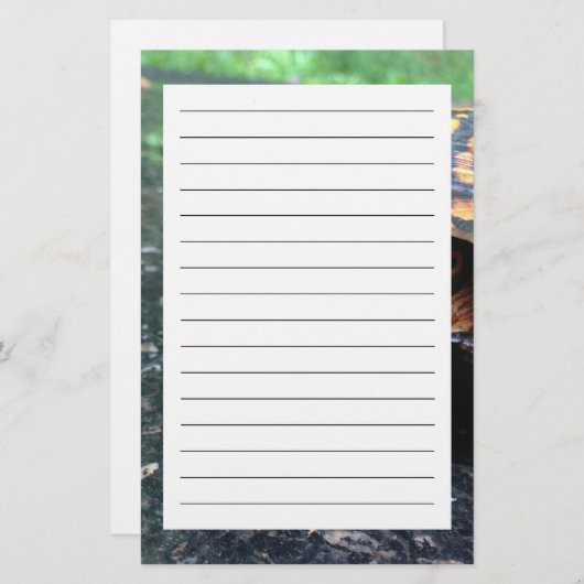 Box Turtle Briefpapier (Voorkant / Achterkant)