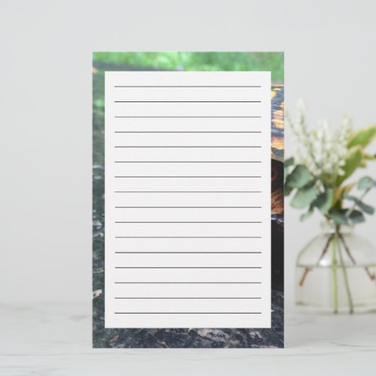 Box Turtle Briefpapier (Staand voorkant)