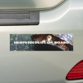 Box Turtle Bumpersticker (Op auto)