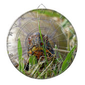 Box Turtle Dartbord (Voorkant)