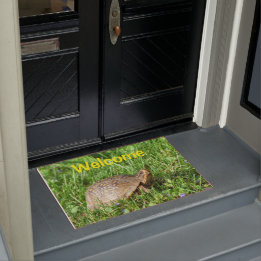 Box Turtle Doormat Deurmat