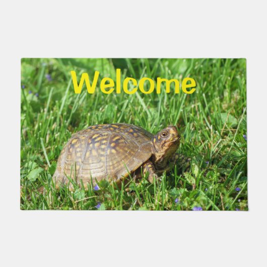 Box Turtle Doormat Deurmat (Voorkant)