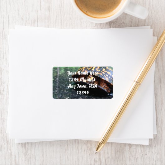 Box Turtle Etiket (Insitu)