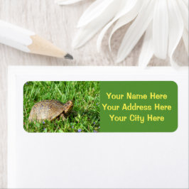 Box Turtle Etiket
