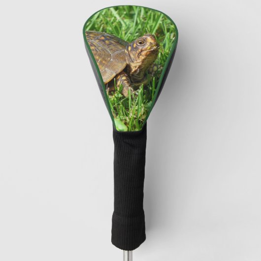 Box Turtle Golf Head Hoesje Golfheadcover (Voorkant)