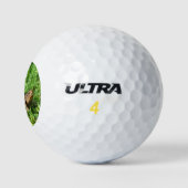 Box Turtle Golfballen (Logo)