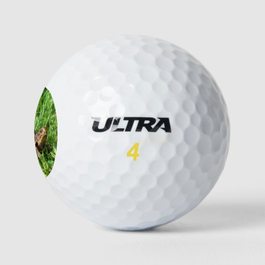 Box Turtle Golfballen (Logo)