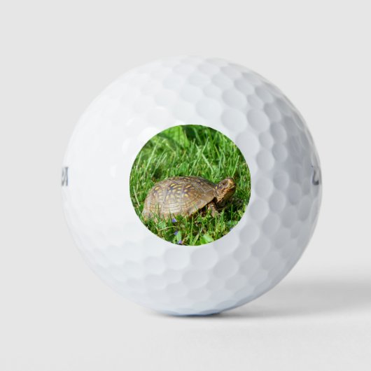Box Turtle Golfballen (Voorkant)
