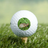 Box Turtle Golfballen (Insitu Shirt)