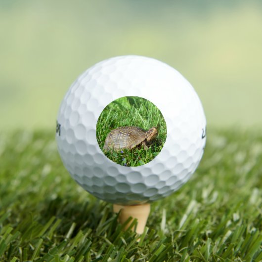 Box Turtle Golfballen (Insitu Shirt)