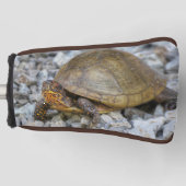 Box Turtle Golfheadcover (Voorkant)