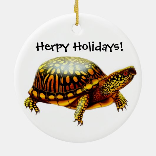  box Turtle Holiday Ornament (Achterkant)