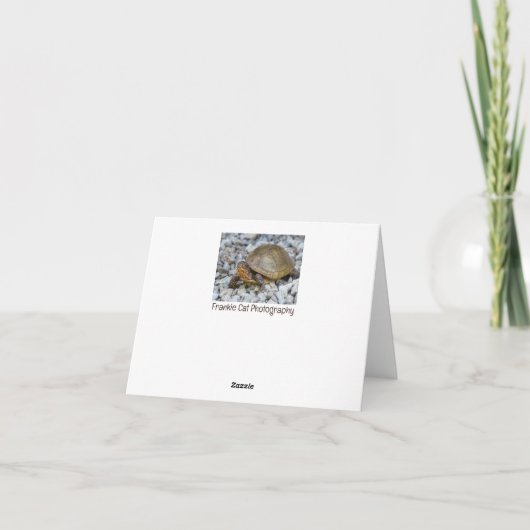 Box Turtle Kaart (Achterkant)