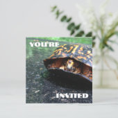 Box Turtle Kaart (Staand voorkant)
