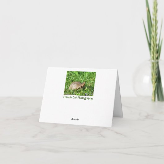 Box Turtle Kaart (Achterkant)