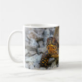 Box Turtle Koffiemok (Links)