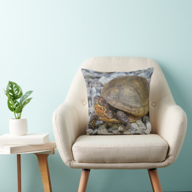 Box Turtle Kussen (Stoel)
