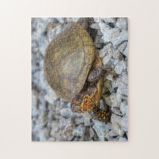 Box Turtle Legpuzzel (Verticaal)
