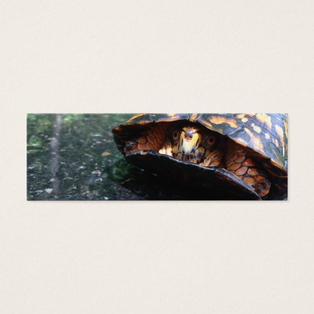 Box Turtle Mini Visitekaartjes (Voorkant)