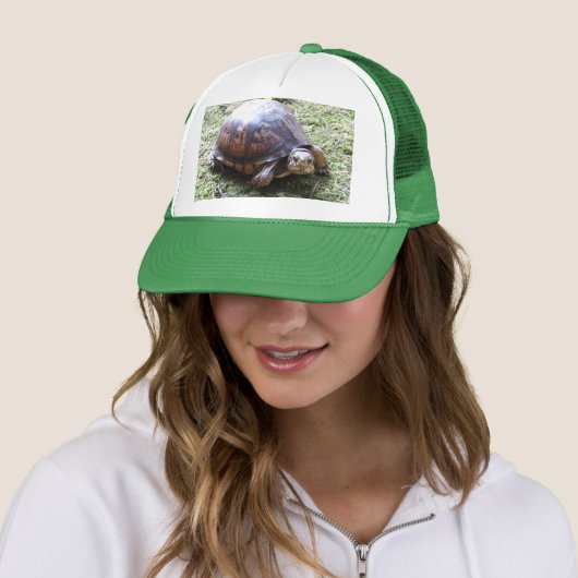 Box Turtle - Mossy Path Trucker Pet (In situ)