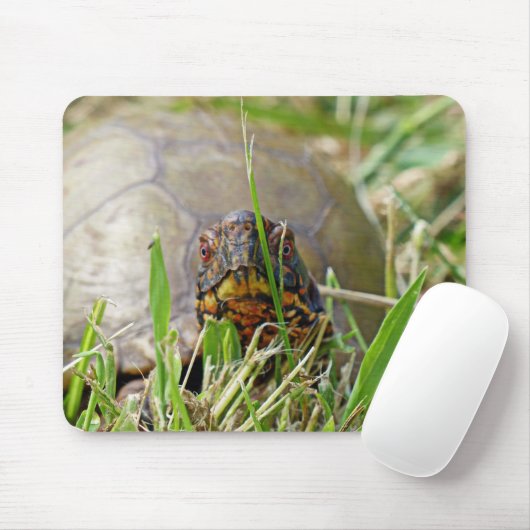 Box Turtle Muismat (Met muis)