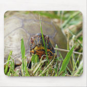 Box Turtle Muismat (Voorkant)