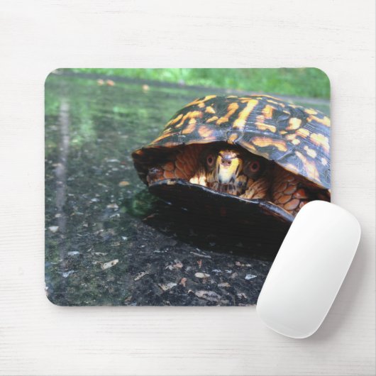 Box Turtle Muismat (Met muis)