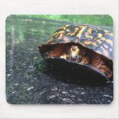 Box Turtle Muismat (Voorkant)