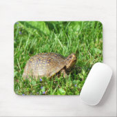 Box Turtle Muismat (Met muis)