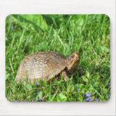 Box Turtle Muismat (Voorkant)