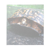 Box Turtle Notitieblok (Voorkant)