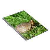 Box Turtle Notitieboek (Rechterzijde)