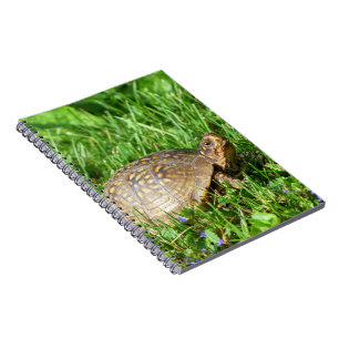 Box Turtle Notitieboek