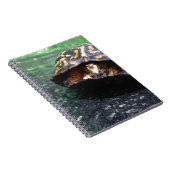 Box Turtle Notitieboek (Rechterzijde)