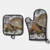 Box Turtle Ovenwant & Pannenlap Set (Voorkant)