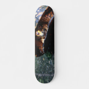 Box Turtle Persoonlijk Skateboard