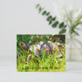 Box Turtle Postcard Briefkaart (Staand voorkant)