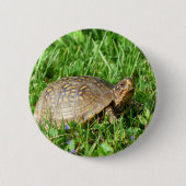 Box Turtle Ronde Button 5,7 Cm (Voorkant)
