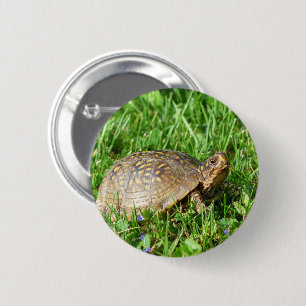Box Turtle Ronde Button 5,7 Cm
